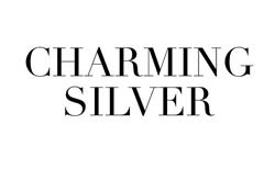 CHARMING SILVER - store image 1